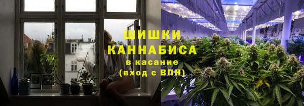 амф Володарск